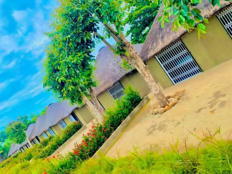 Row of thatched-roof chalets along the resort garden